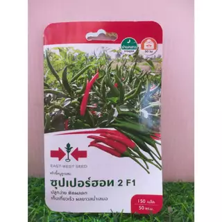 เมล็ดผักซอง เมล็ดพันธุ์ผัก ผักสวนครัว (ศรแดง)(ซองเล็ก)