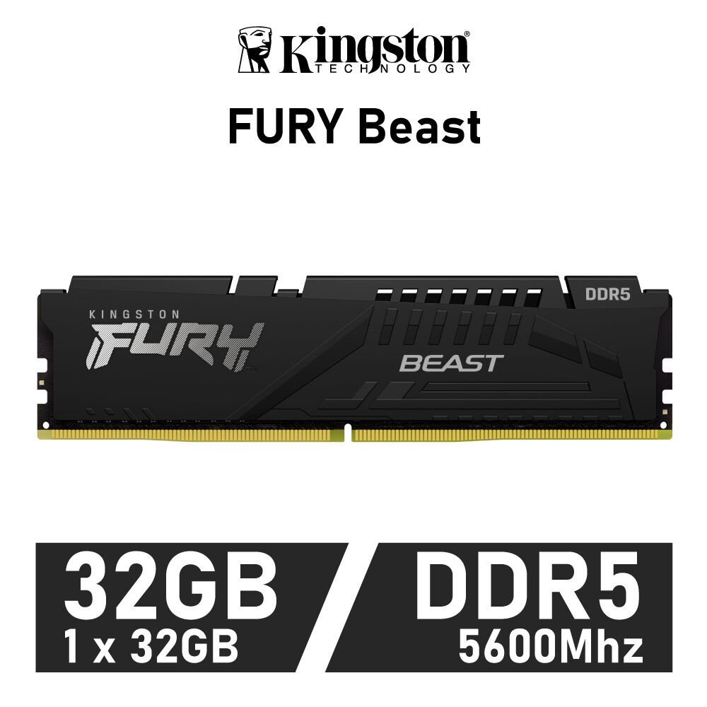 32GB (32GBX1) DDR5 5600 RAM Kingston Fury Beast Single (KF556C40BB-32)