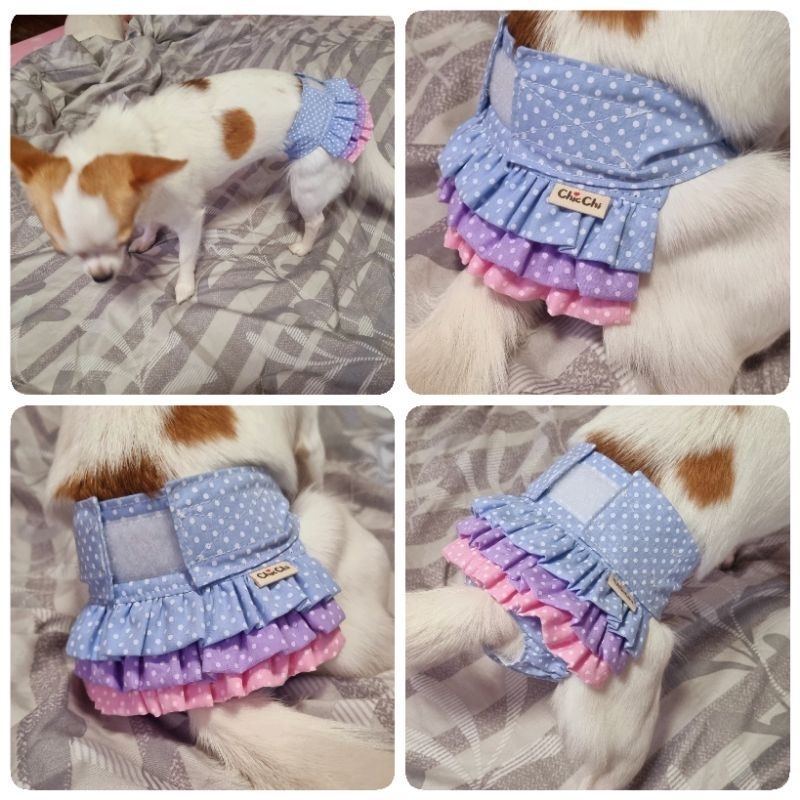 กางเกงในสุนัขตัวเมียทรงน่ารัก รอบเอว 7-19 นิ้ว #DogDiapers #DogPanties