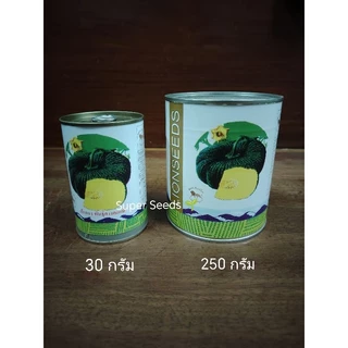 เมล็ดพันธุ์ฟักทอง คางคกแท้ สิงห์โต ขนาด 30 และ 250 กรัม