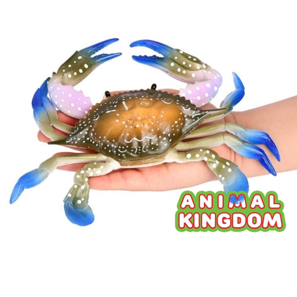 Animal Kingdom - โมเดลสัตว์ Crab ปูม้า ฟ้าขาว ขนาด 23.00 CM (จากหาดใหญ่)
