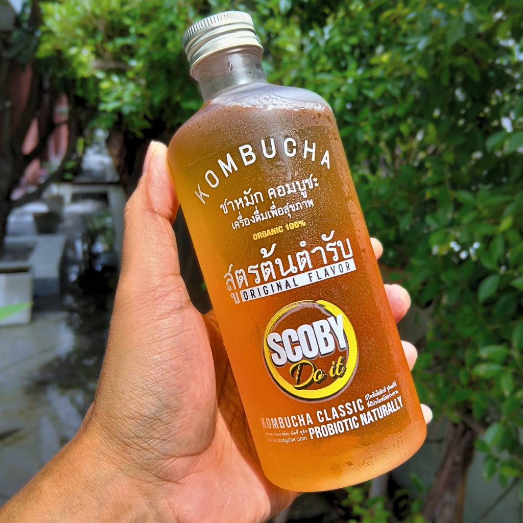 KOMBUCHA เครื่องดื่ม โพรไบโอติกส์ ชาหมักคอมบูชะ ขนาด 450 ml. - Raw fermented homemade