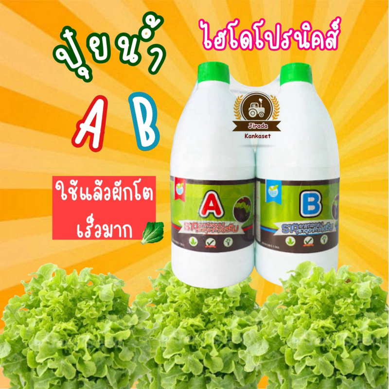 ปุ๋ย AB 500 cc ไฮโดโปรนิคส์ ปลูกพืชไร้ดิน
