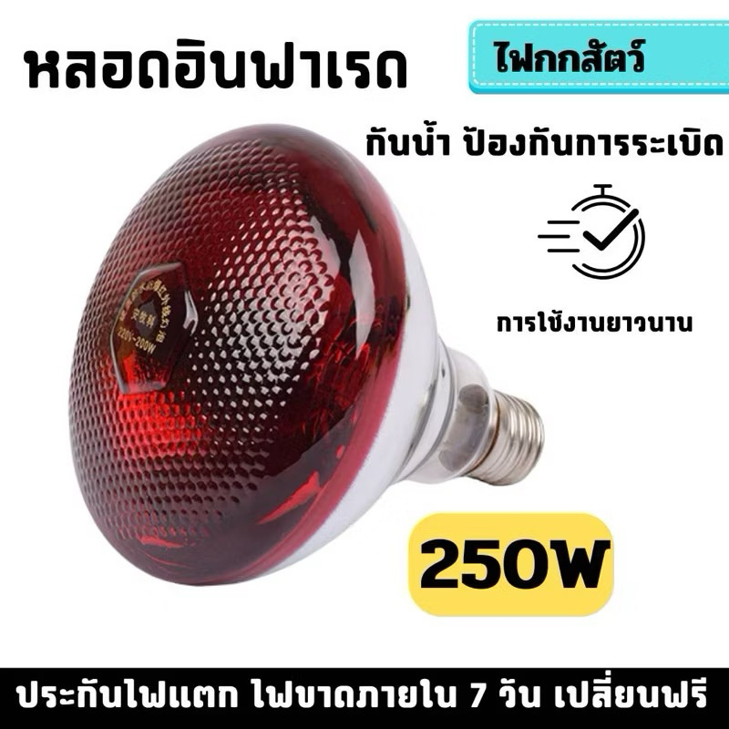 250W หลอดไฟกกสัตว์  ขนาด 250W หลอดไฟกกสัตว์ หลอดไฟอินฟาเรด หลอดไฟกกหมู หลอดไฟกกไก่