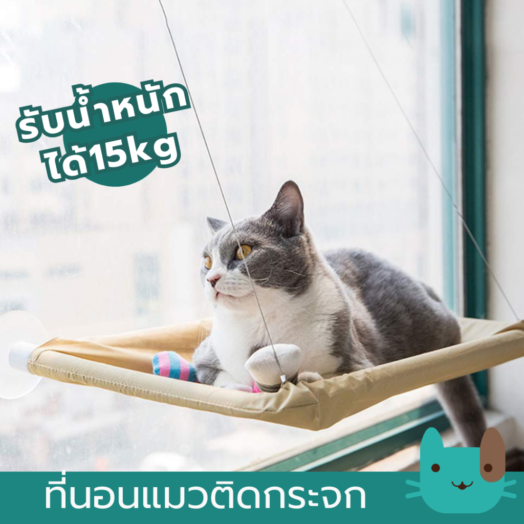 ที่นอนแมวติดกระจก เปลแมว เปลแมวติดกระจก ที่นอนแมว ติดแน่น