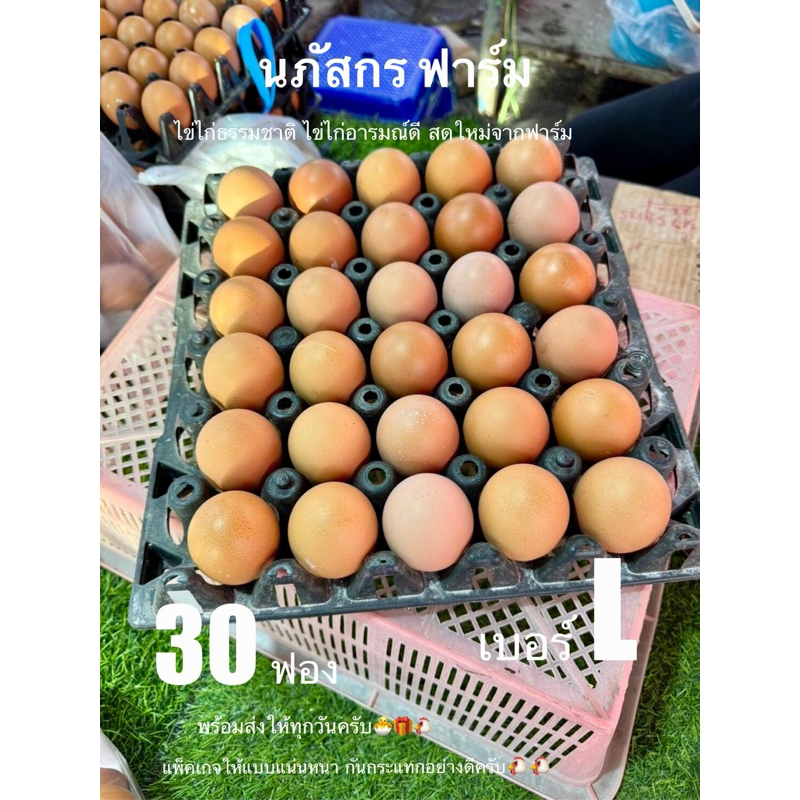 ไข่ไก่ ไซส์ L พร้อมส่ง สดใหม่จากฟาร์ม 30ฟอง