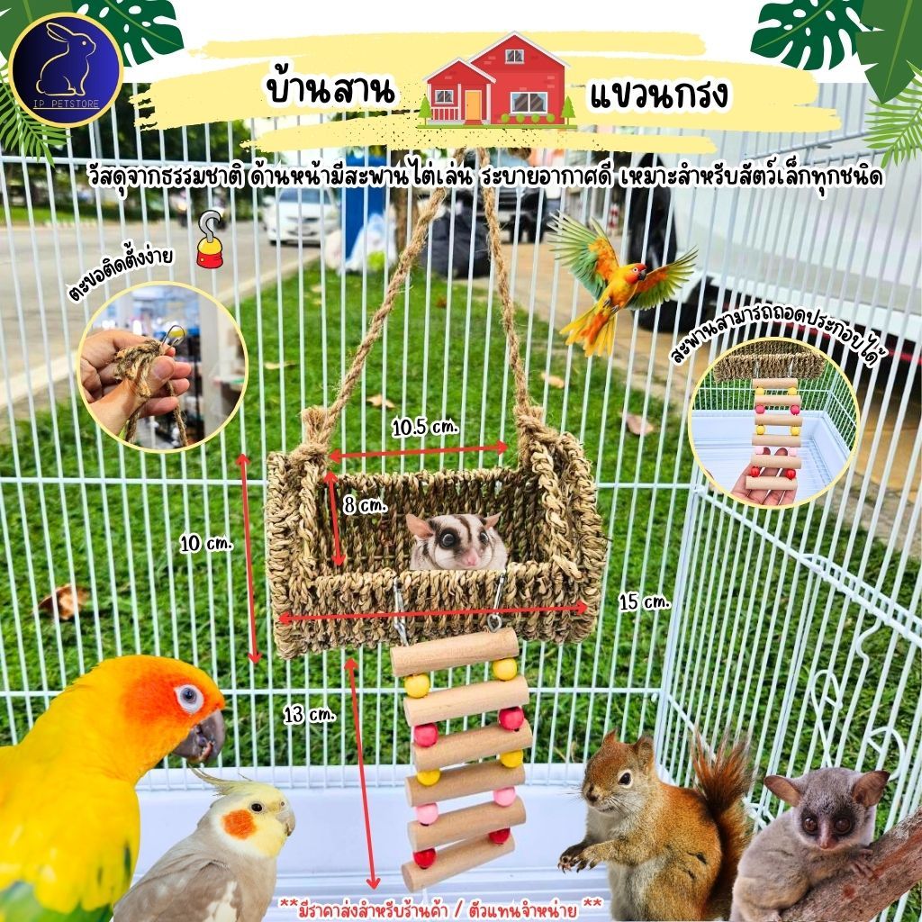 บ้านกระรอก ชูก้าร์ไกลเดอร์ หนูแฮมสเตอร์ นกแก้ว บ้านสานมีสะพาน บ้านสัตว์เลี้ยงขนาดเล็ก (IP)