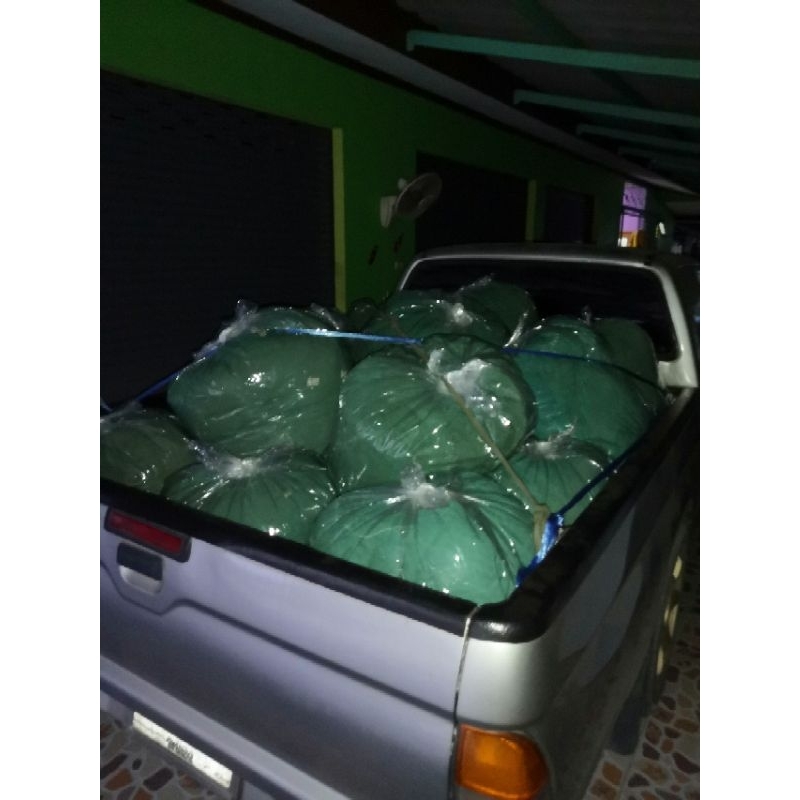 อวนเขียวมือสอง น้ำหนักประมาณ 10กก. แนะนํา​ใช้​งานในช่องกรองบ่อปลา ทำอวนบอล อวนเก่า ซักล้างได้ ใช้ได้อีกนานไม่ต้องเปลี่ยน - รูปที่ 5