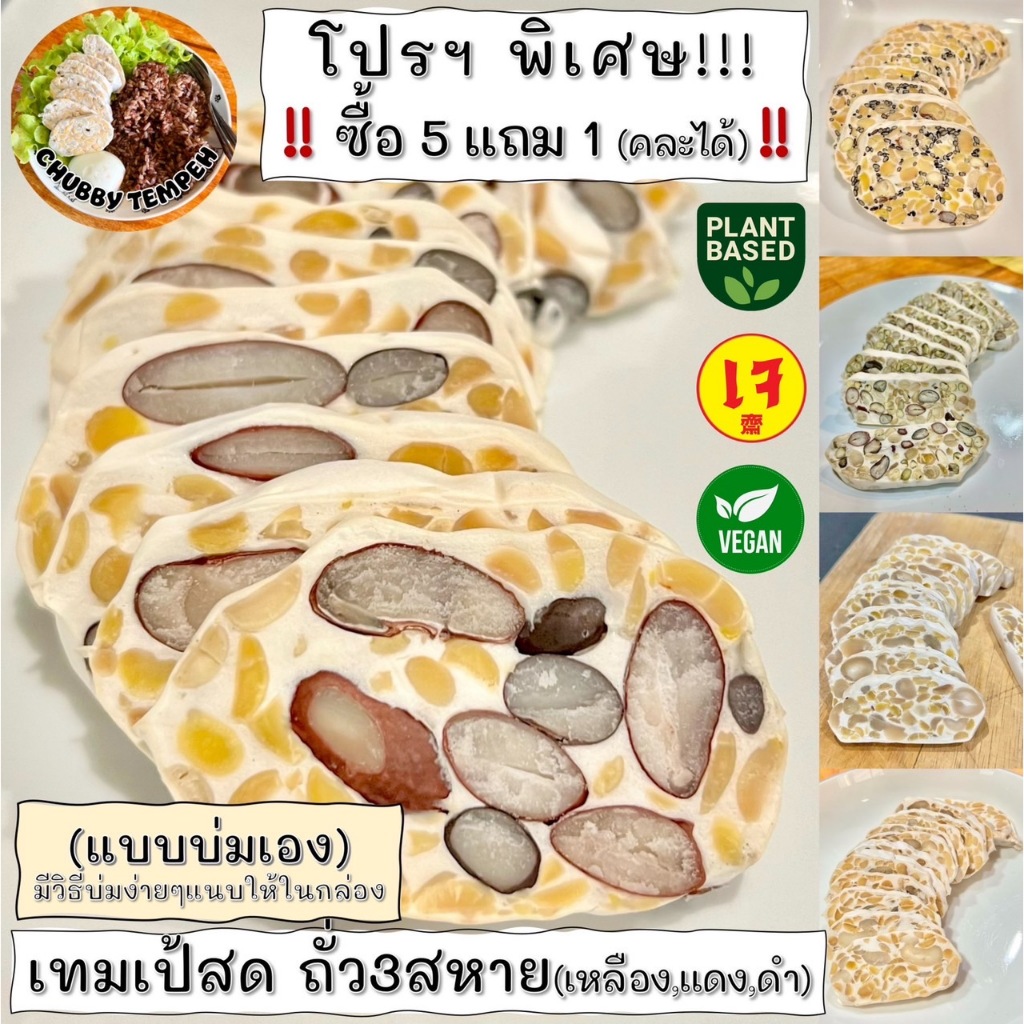 เทมเป้สด(แบบบ่มเอง) ถั่ว3สหาย (5แถม1) 100g #Tempeh #โปรตีนจากพืช #เจ #PlantBased