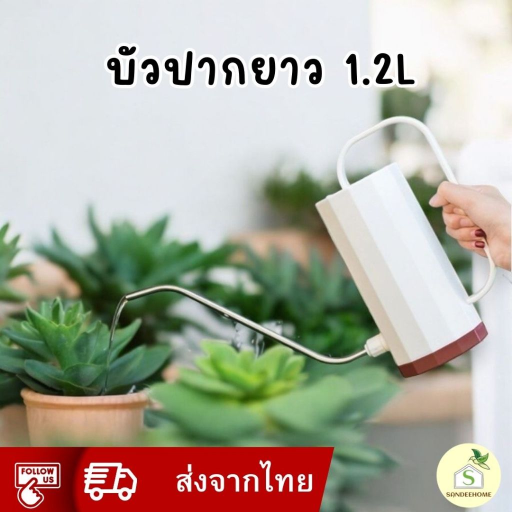 บัวรดน้ำปากยาว สีพาสเทล ขนาด 1.2 ลิตร บัวรดน้ำแคคตัส มหัศจรรย์ บัวรดน้ำขนาดเล็ก