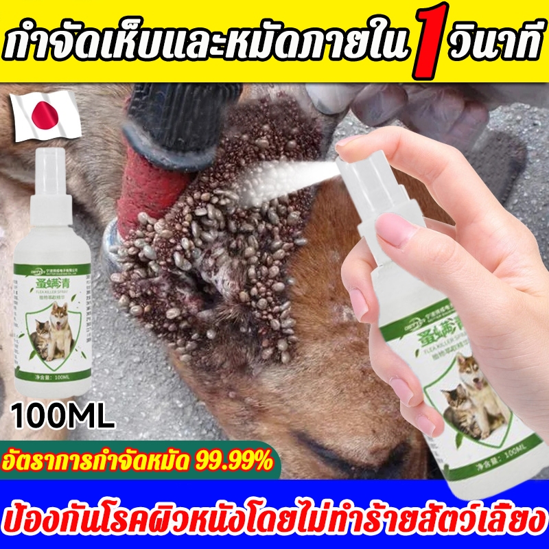ไม่มีหมัดใน 50 ปี สเปรย์กำจัดเห็บ น้ำยากำจัดเห็บหมัด สเปรย์กำจัดเห็บหมัด ยาฆ่าเห็บหมัดสุนัข ยากำจัดเห็บหมาส่วนผสมจากพืช