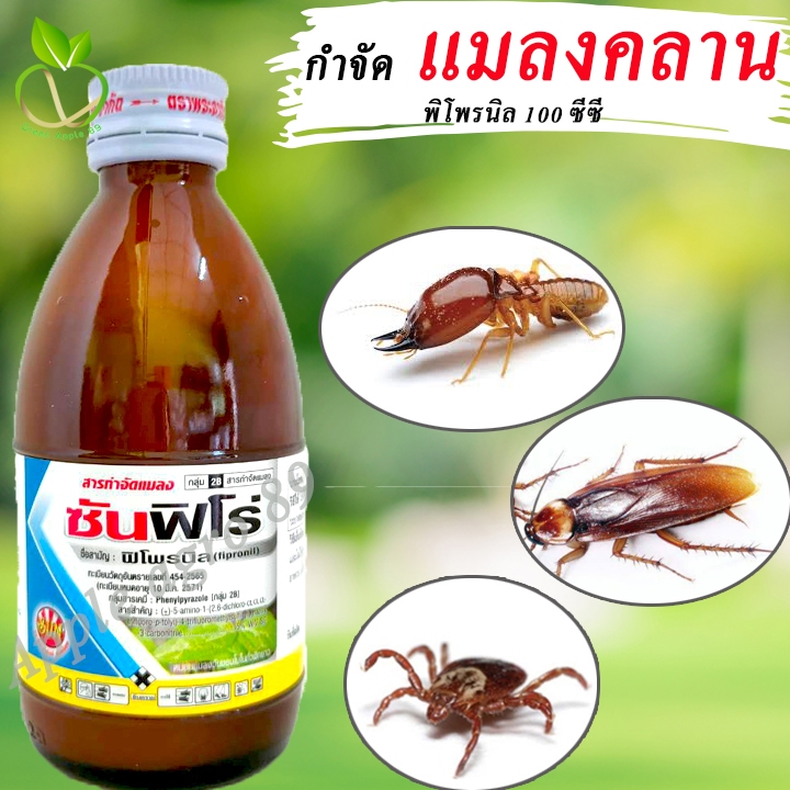 ซันฟีโร่ พิโพรนิล ขนาด 100 ซีซี พิโพนิล กำจัดปลวก กำจัดแมลงสาบ กำจัดเห็บหมัด  พิโพลนิล ฆ่าปลวก ฆ่่าแมลงสาบ ฆ่าเห็บหมัด