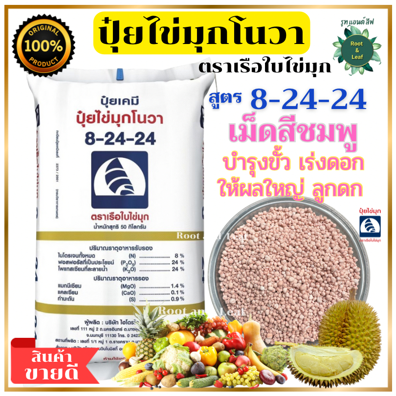 ปุ๋ยสูตร 8-24-24 ปุ๋ยไข่มุกโนวา เม็ดปุ๋ยสีชมพู ตราเรือใบไข่มุก ช่วยให้ขั้วเหนียว เร่งดอก ผลใหญ่ ลูกดก