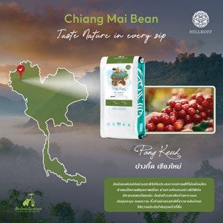 Hillkoff : เมล็ดกาแฟอราบิก้า ปางกื๊ด กาแฟ อาราบิก้า 100% Ara…