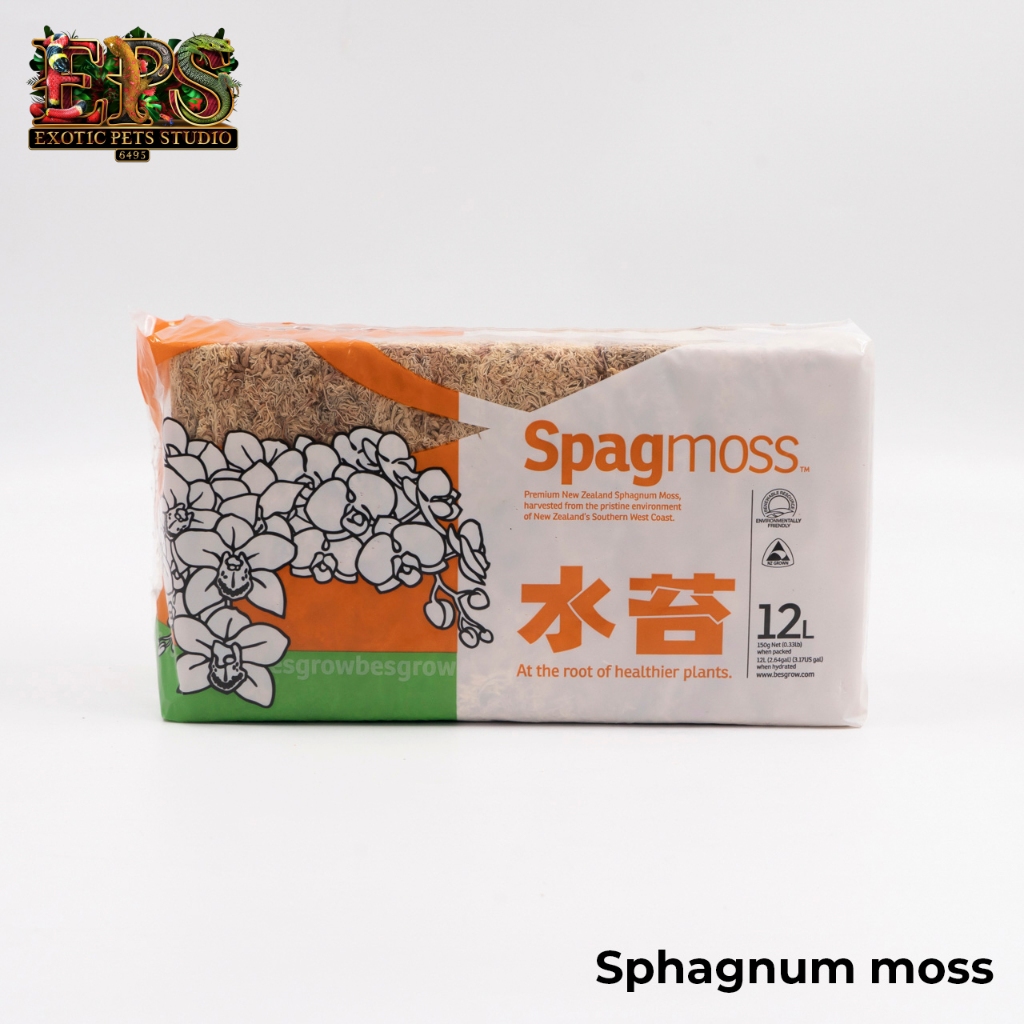 Spagmoss Sphagnum Moss New Zealand สแฟกนั่มมอส นำเข้าจากนิวซีแลนด์