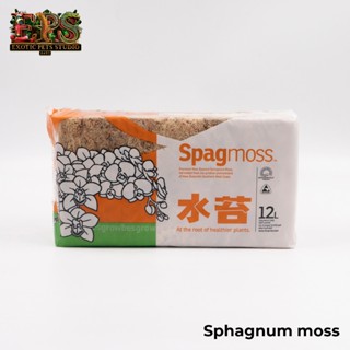 Spagmoss Sphagnum Moss New Zealand สแฟกนั่มมอส นำเข้าจากนิวซ…