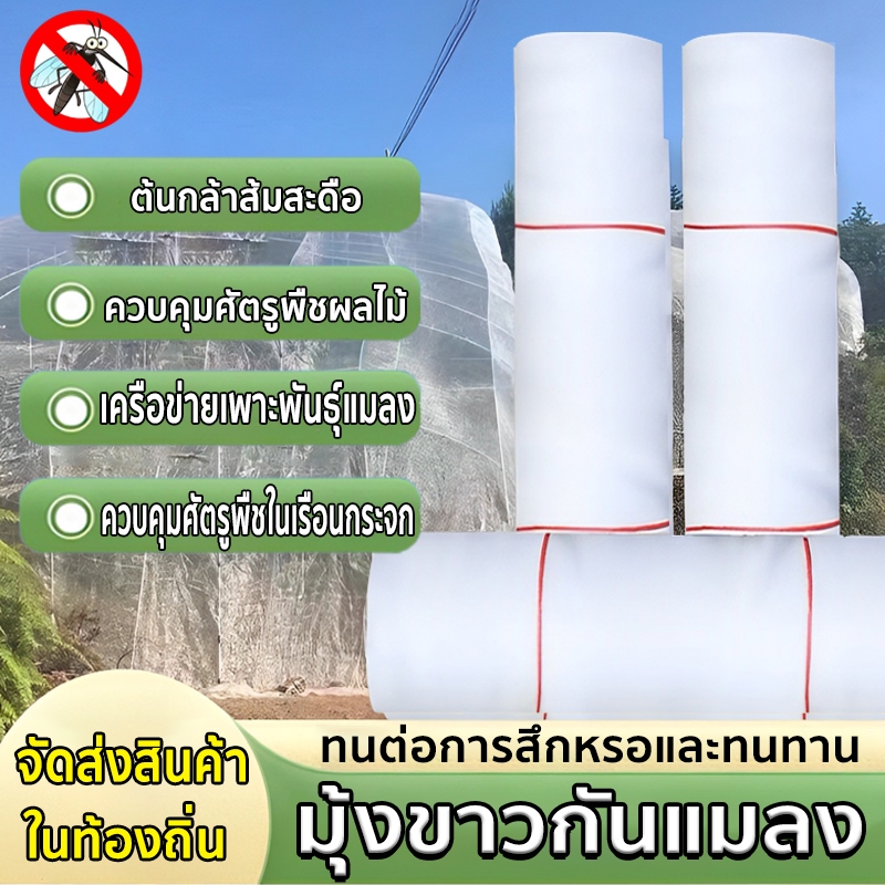 มุ้งขาว มุ้งกันแมลง มุ้งขาวโรงเรือน 40ตา หน้ากว้าง 2-3 เมตร ปกป้องผักและไม้ผล กันแมลง