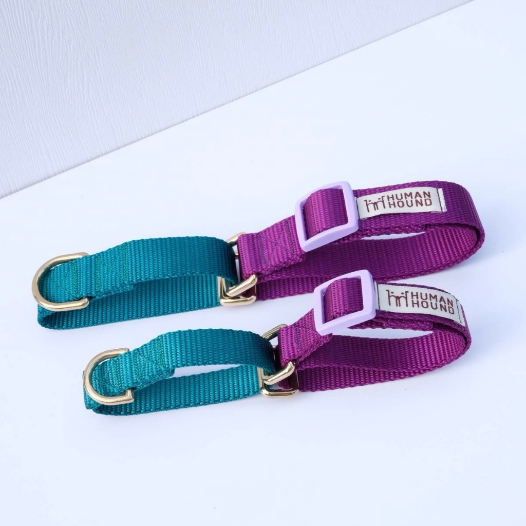 Monsternc Martingale Collar : Human&Hound - ปลอกคอฝึกสุนัข สี MonsterInc ปลอกคอสุนัข ปลอกคอกระตุก