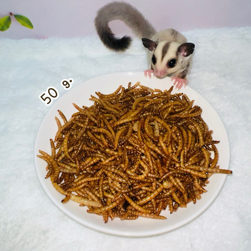 หนอนนกอบแห้ง ขนาด 50 กรัม