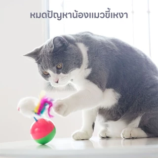 yoyopet : ของเล่นแมว บอลกรงหนู ลูกบอลล้มลุก ขนนกล่อแมว ของเล่นสัตว์เลี้ยง บอลกรงกระดิ่ง คละสี