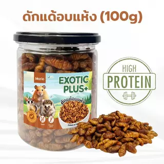 Morio แมลงอบแห้ง 480ml (ดักแด้ จิ้งหรีด สะดิ้ง) โปรตีนสูง สำหรับแฮมเตอร์ ชูการ์ไกลเดอร์ เม่นแคระ นก ปลา กระรอก ลิง