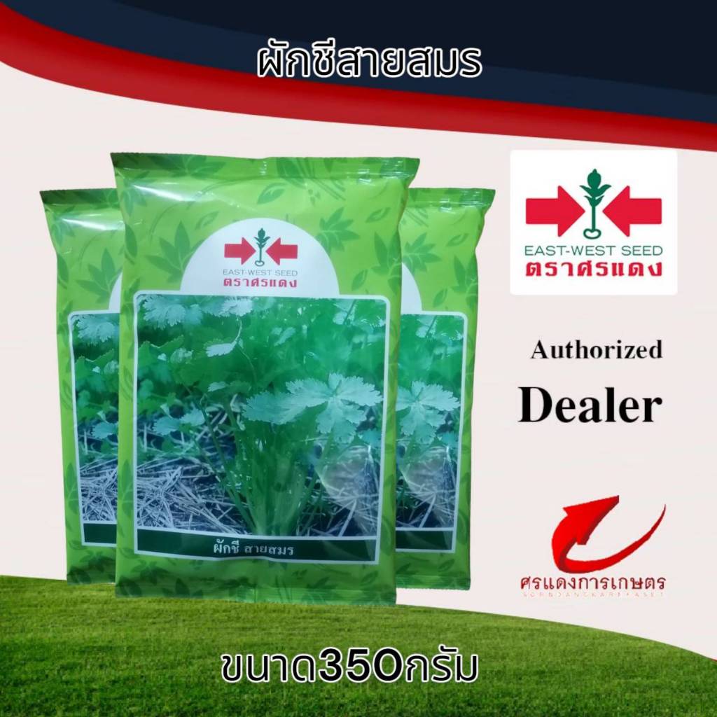 เมล็ดพันธุ์ผักชีสายสมร 350g