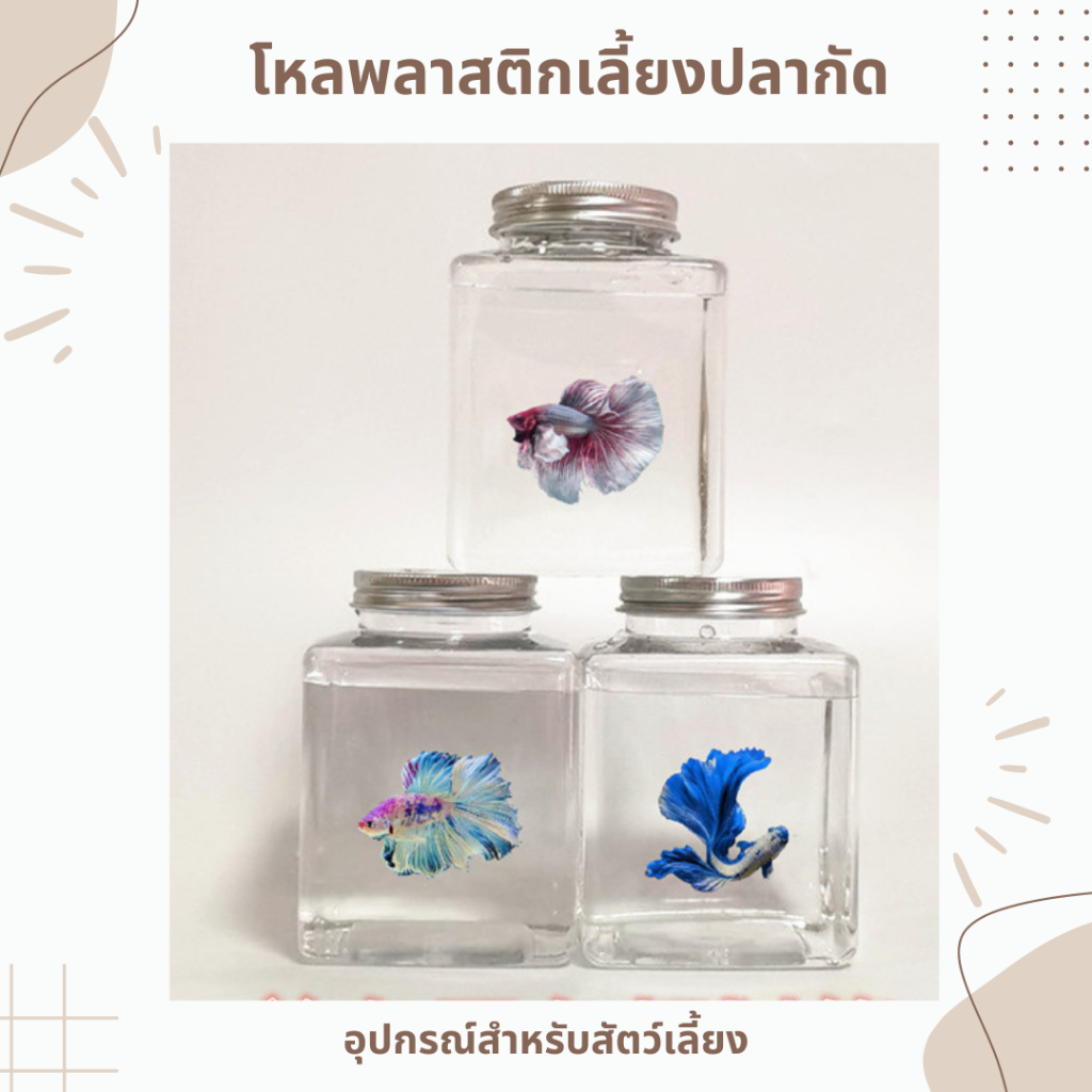 โหลพลาสติกเลี้ยงปลากัด เหลี่ยมปลากัด ขวดโหลพลาสติก เลี้ยงปลาขนาดเล็ก
