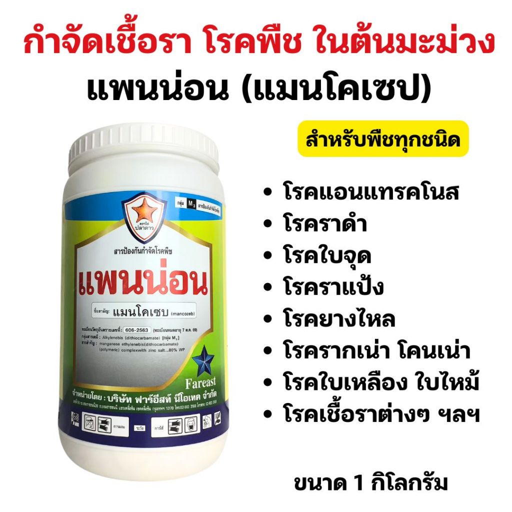มะม่วง ใบไหม้ ใบจุด ผลเน่า แอนแทรคโนส โรคพืช จากเชื้อราต่างๆ กำจัดด้วย แพนน่อน ใช้ได้กับพืชทุกชนิด