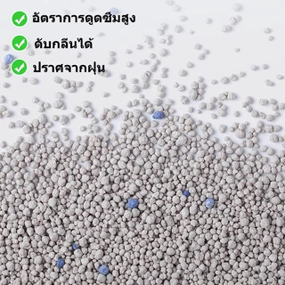 【PET RECORD】กำจัดกลิ่น,ครอกแมวเบนโทไนท์ครอกแมวทรายแมว, ส้วมแมว, ทรายแมวภูเขาไฟ, ดินเหนียวสะอาด, ถังขยะแมว