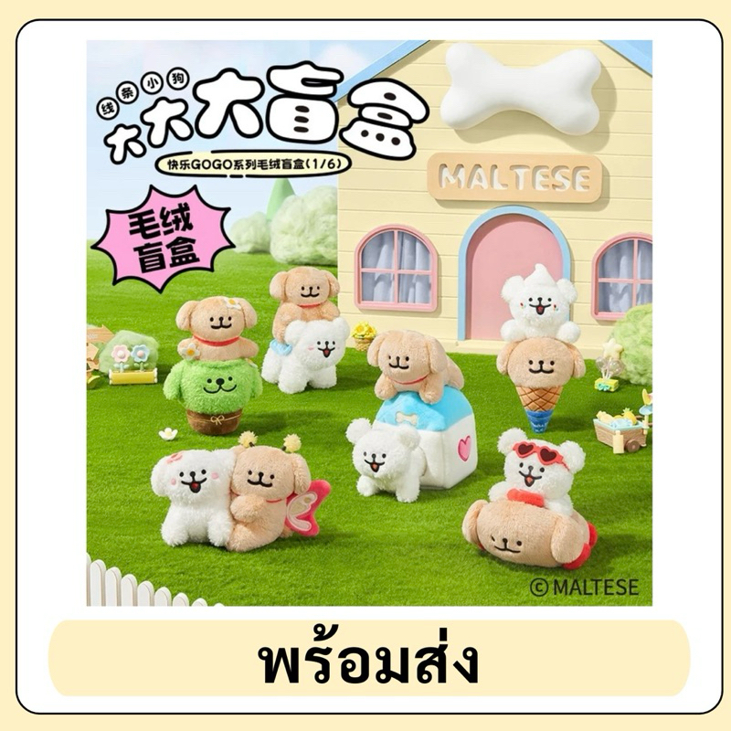 💚พร้อมส่ง💚 กล่องสุ่ม Maltese Happy Puppy 200% น้องหมา🐶🫶🏼 Maltese Happy Gogo