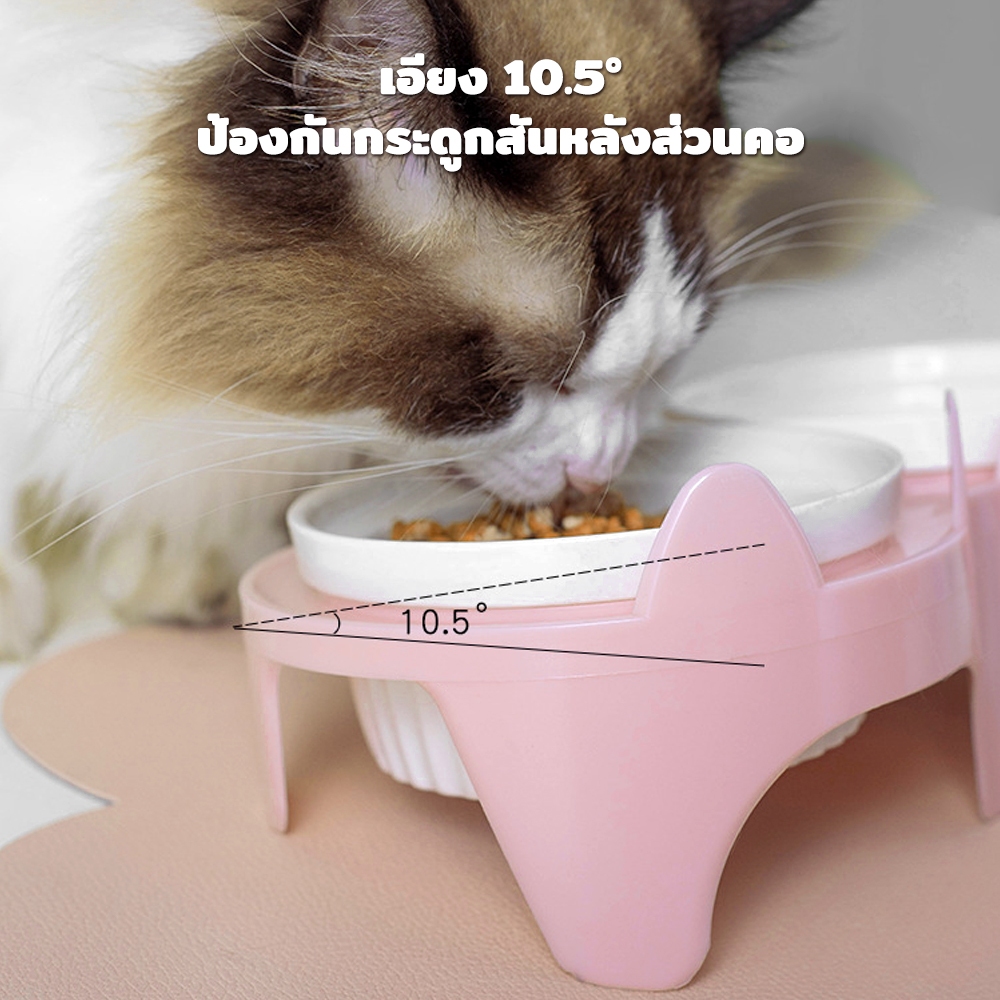 PetStern ชามแมว ชามเซรามิก ชามคู่ ปกป้องกระดูกสันหลังส่วนคอของแมว รูปที่ 2