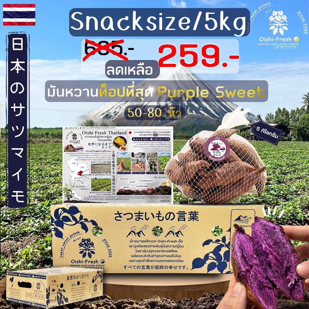 ถูกที่สุด ยกลัง 5 กิโลกรัม Snack มันหวานญี่ปุ่นสายพันธุ์ Pulple sweet ปลูกไทย เนื้อเหลือง หวาน อร่อย .สินค้าเคลมได้