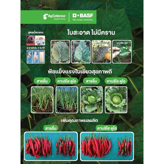 คาบริโอ® ดูโอ ไพราโคลสโตรบิน+เมทิแรม สารป้องกันกำจัดโรคพืช ได้ทั้งราชั้นสูงและช้ันต่ำ ปลอดภัยใช้ได้ทุกพืช คาบริโอ ดูโอ้