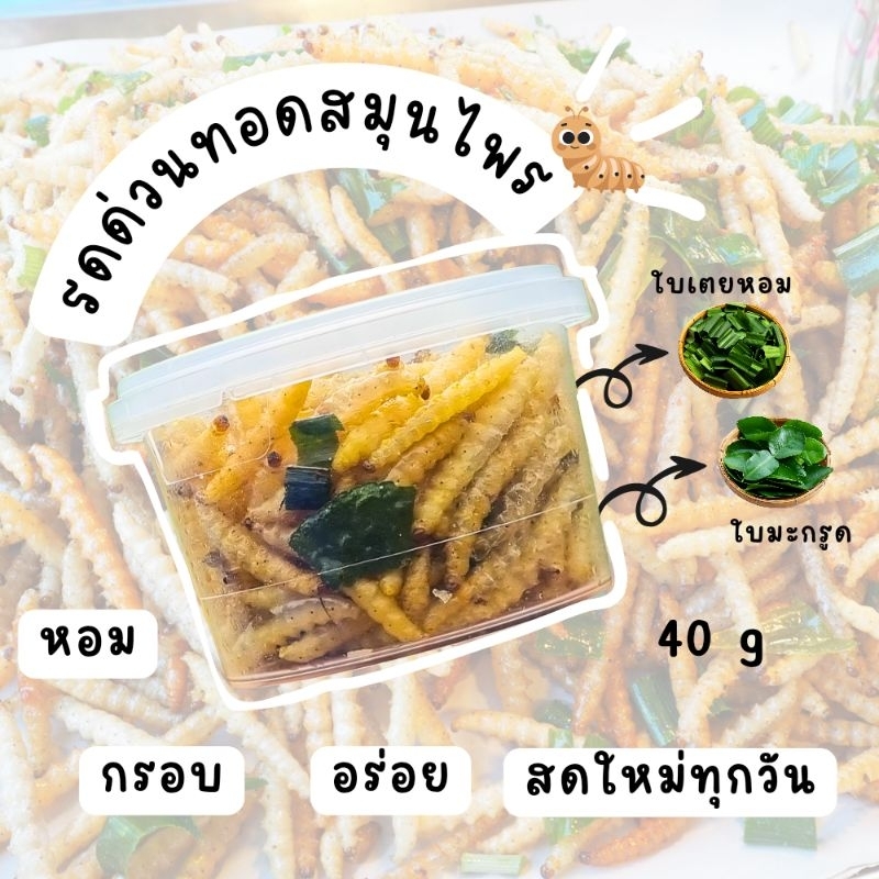 รดด่วนทอด รดด่วนทอดสมุนไพร หนอนไม้ไผ่ รดด่วนทอดน่าน