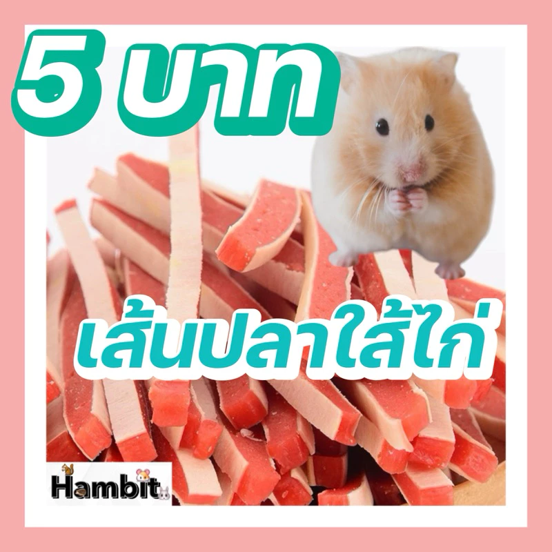 Hambit. เส้นปลาใส้ไก่ สำหรับแฮมเตอร์ ดอร์เม้าส์ ชูการ์ เกรดดี