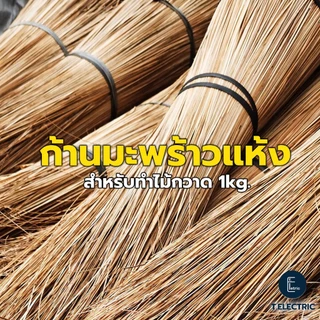 ก้านมะพร้าวแห้ง มัดละ 900g. คละความยาว คละเกรด ก้านทำไม้กวาดทางมะพร้าว อะไหล่ทำไม้กวาด ก้านไม้กวาด