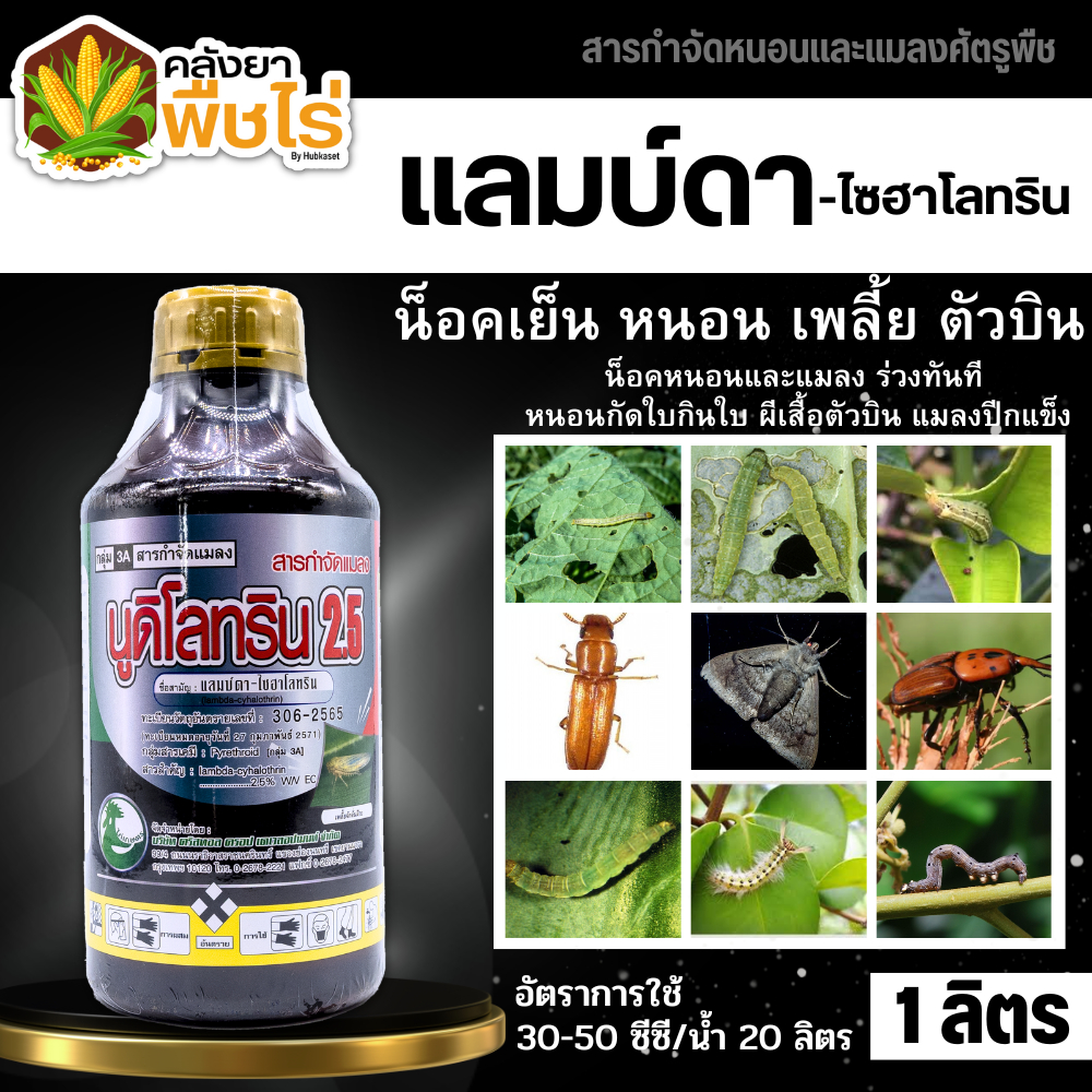 🌽 นูดิโลทริน2.5 (แลมป์ดา-ไซฮาโลทริน) 1ลิตร กำจัดแมลง หนอน เพลี้ย แมลงหวี่ขาว ด้วง