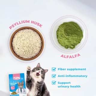 MR.VET Cat Kibble T2 1กก – Rich in Omega-3 สําหรับผิวและเสื้อโค้ทสุขภาพ เหมาะสําหรับแมวทุกวัย