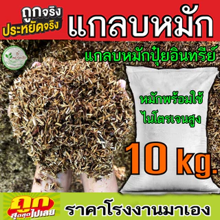 แกลบหมัก แกลบเก่า หมักด้วยปุ๋ยอินทรีย์เสริมแร่ธาตุ 10 กิโล ไนโตรเจนสูง เพิ่มแร่ธาตุเพิ่มความโปร่ง