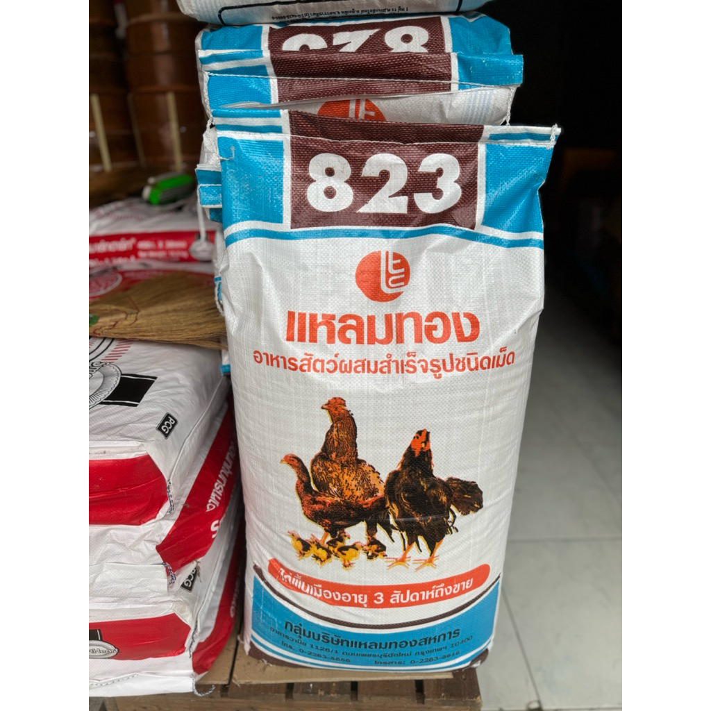 10-30กิโลกรัม อาหารไก่แหลมทองเบอร์ 823 เหมาะสำหรับไก่พื้นเมือง อายุ 3 สัปดาห์ถึงขาย โปรตีน 14%