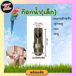 กัดเล็ก ก็อกน้ำสแตนเลส(ลูกหมู,นก,สุนัข)ขนาด1/2 4หุน