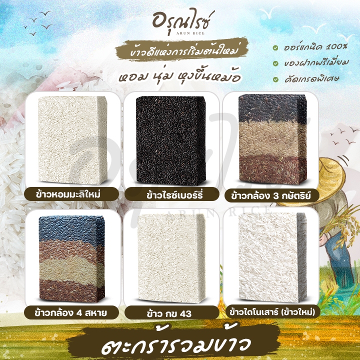 ตะกร้ารวมข้าว หอมมะลิใหม่/ไรซ์เบอรี่/ข้าวกข43/ข้าวกล้อง3กษัตริย์/ข้าวกล้อง4สหาย
