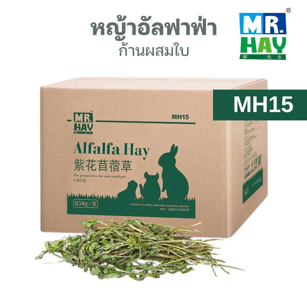 Mr.hay (มิสเตอร์เฮย์) MH15 Alfalfa Hay Gift Boxset หญ้าอัลฟาฟ่า ก้านผสมใบ สำหรับกระต่าย ชินชิล่า แกส