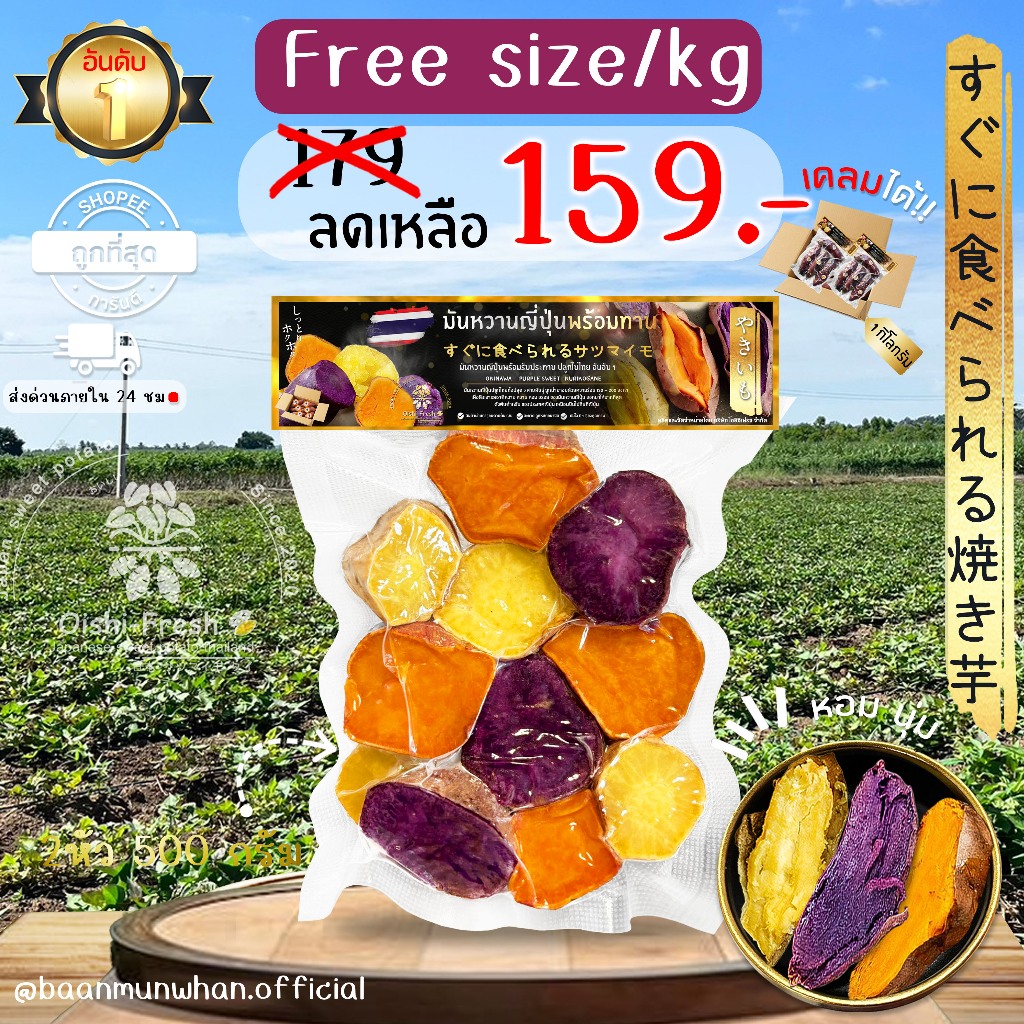 Oishi-Fresh มันหวานญี่ปุ่น🇹🇭ปลูกไทย🇹🇭 โอกินาว่า เพอเพิ่ลสวีท เผาพร้อมทาน เนื้อเหลือง หอม หวาน  สินค้