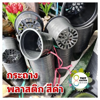 ##++ กระถาง กลมธรรมดา // กลมดำ ขนาด 2.5-3-4-5-6นิ้ว พลาสติก …