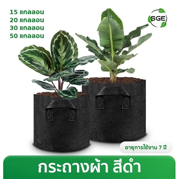 กระถางผ้าปลูกต้นไม้ รุ่น GB ถุงผ้าปลูกต้นไม้ ถุงปลูกต้นไม้ ของแท้จาก SGE