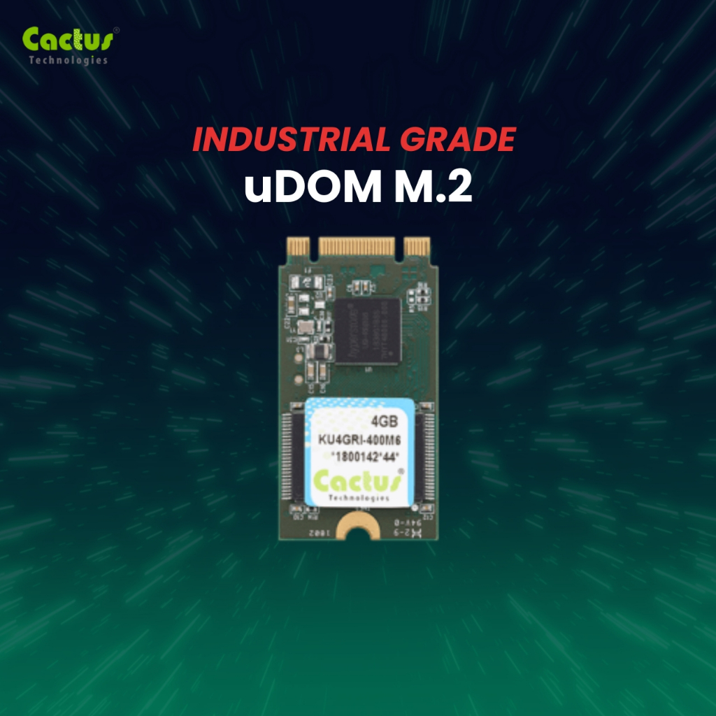 uDOM M.2, INDUSTRIAL GRADE UDOM M.2