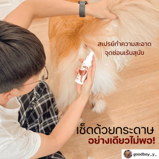 Fellower สเปรย์เช็ดก้นสุนัขและแมว Evosina ดูแลจุดซ่อนเร้นหลังขับถ่าย ลดกลิ่นอับ ไถก้น คันก้น ปลอดภัยเลียได้ 100ml