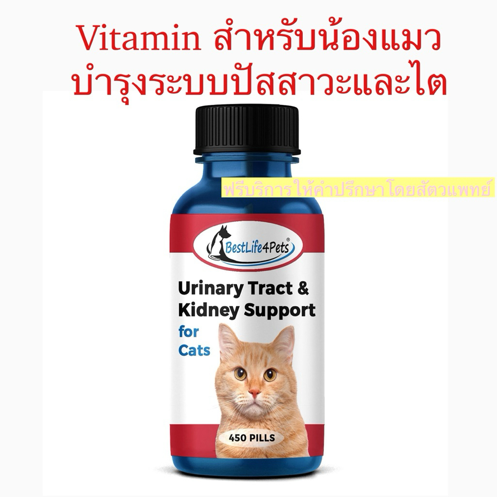 Bestlife4pets ช่วยแก้้ปัญหานิ่ว กระเพราะปัสสาวะอักเสบ และะบำรุงไต จำนวน 400 เม็ด