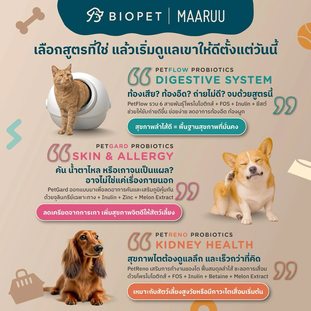 Biopet PetFlow Probiotics  สูตร Digestive ปรับสมดุลลำไส้ ลดท้องเสีย ลดกลิ่นอุจจาระ โพรไบโอติกส์สำหรับสัตวเลี้ยง หมา แมว thumbnail 7